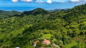 Lush green jungle with a house and distant ocean view in Dominical.