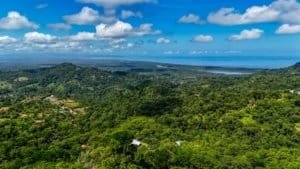 Stunning ocean view from lush green hillside in Dominical, Costa Rica.