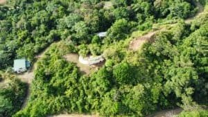Aerial view of a lush green forest with a house and ocean in the distance.