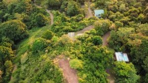 Aerial view of lush forest with a house and swimming pool in Dominical, Costa Rica.