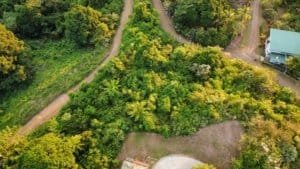 Aerial view of lush greenery, pathways, and a house in Dominical, Costa Rica.
