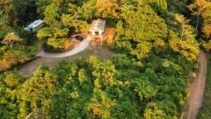 Stunning ocean and mountain view home in tranquil setting surrounded by lush forest.