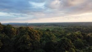 Scenic view of lush forest, mountains, and ocean in Dominical, Costa Rica.