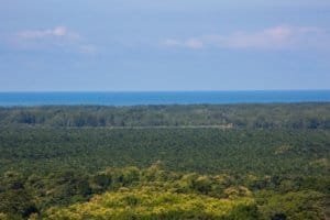 Scenic view of lush green forest, ocean, and mountains in Dominical, Costa Rica.