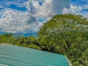 Lush green trees and blue sky with clouds near Dominical, Costa Rica.