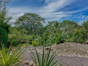 Lush tropical garden with stone pathway and vibrant greenery in Costa Rica.