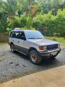 Silver 4x4 SUV parked on gravel with lush greenery in background.
