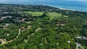 Private jungle home with lush greenery near Dominical beach in Costa Rica.