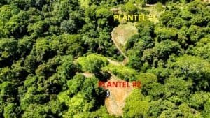 Serene Costa Rican jungle with two building platforms and mountain views.