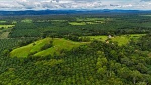 Lush green jungle with rolling hills and mountain views in Dominical, Costa Rica.