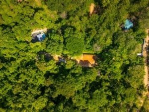 Aerial view of a lush green property with ocean view, pool, and surrounding trees in Dominical.
