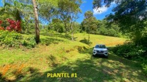 Serene jungle plot with building platforms and mountain views in Dominical.
