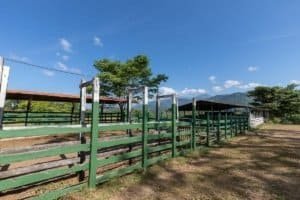 Equestrian stables and corral at a Costa Rican ranch with mountains in the background.