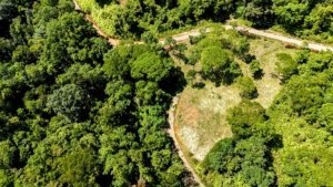 Aerial view of a large jungle plot with building platforms and mountain views in Dominical.