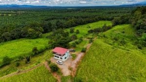 Serene jungle property with building platforms and mountain scenery in Dominical.