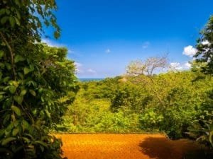 Lush tropical forest with ocean view in Dominical, Costa Rica.