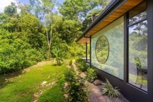 Modern Japanese-style home with large glass windows surrounded by lush jungle greenery.