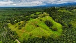 Large lush jungle plot with building platforms and mountain views in Dominical.