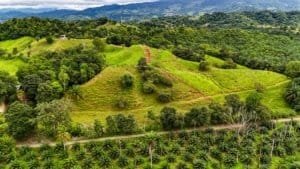 Serene jungle plot with building platforms and mountain views in Dominical.