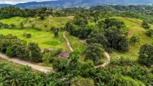Large jungle plot with building platforms, internal drives, mountain views in Dominical.