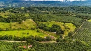 Aerial view of lush green jungle, hills, and mountain scenery in Dominical, Costa Rica.