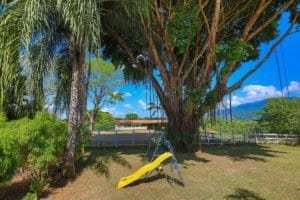 Large tree with a yellow slide in a lush backyard with blue sky.