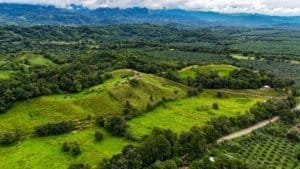 Serene jungle property with building platforms and mountain scenery in Dominical.