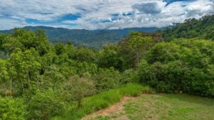 Lush green jungle landscape in Dominical, Costa Rica with mountains in the background.