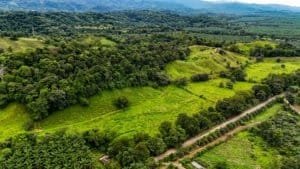 Large lush jungle plot with building platforms and mountain views in Dominical.