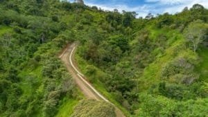 Lush green hillside with winding dirt road in Dominical, Costa Rica.