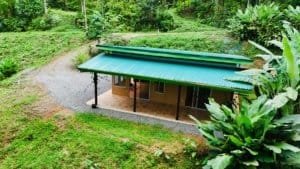 Charming jungle home with green roof and lush surroundings in Dominical.