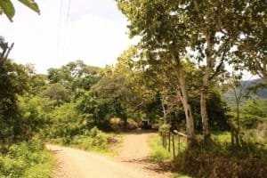 Scenic view of a wildlife reserve farm with river and trees in Dominical, Costa Rica.