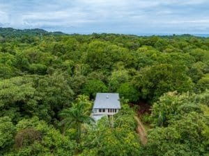 Secluded rainforest home with pool surrounded by lush greenery in Dominical.