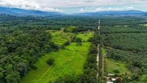 Lush green jungle with mountain views and dirt roads in Dominical, Costa Rica.