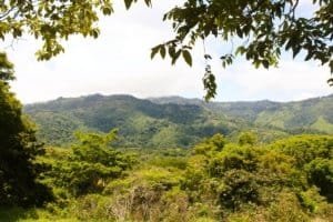 Lush green hills and river in Dominical wildlife reserve, Costa Rica.