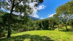 Large lush jungle plot with mountain views, trees, and clear blue sky.