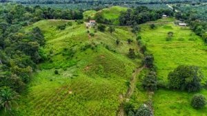 Large lush jungle plot with building platforms and mountain views in Dominical.