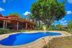 Beautiful pool with lush garden and large tree in Dominical, Costa Rica.
