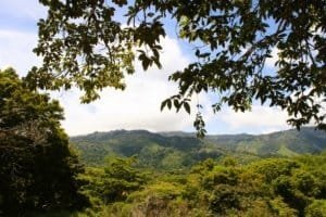 Lush green mountains and trees in Costa Rica with a partly cloudy sky.