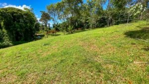 Large lush green jungle plot with mountain views in Dominical, Costa Rica.