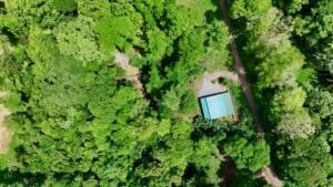 Aerial view of lush green jungle with a small house and pathways in Dominical, Costa Rica.