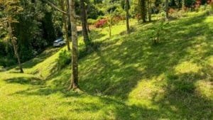 Quiet jungle plot with mountain views and building platforms in Dominical.