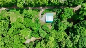 A lush green jungle with a small house and a creek in Dominical, Costa Rica.