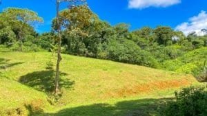 Serene jungle plot with trees, grass, and mountain views in Costa Rica.