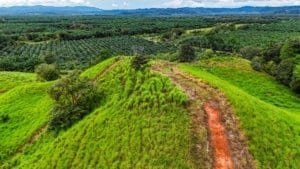 Serene Costa Rican jungle plot with building platforms and mountain scenery.