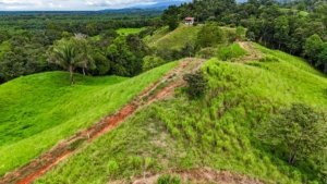 Large jungle plot with building platforms, internal drives, and mountain views in Dominical.