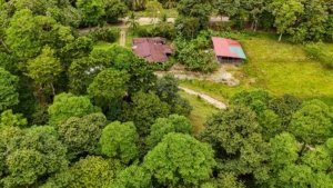 Large jungle plot with two building platforms and mountain views in Dominical, Costa Rica.