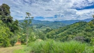 Lush green rainforest with mountains in the background in Dominical, Costa Rica.
