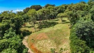 Serene jungle plot with building platforms and mountain views in Dominical.
