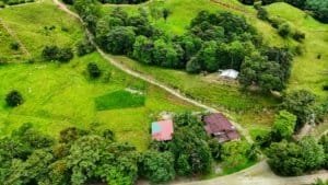 Serene jungle property with building platforms and internal drives in Dominical.